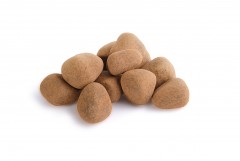 Apple in Chocolate and Cinnamon - bulk 2kg